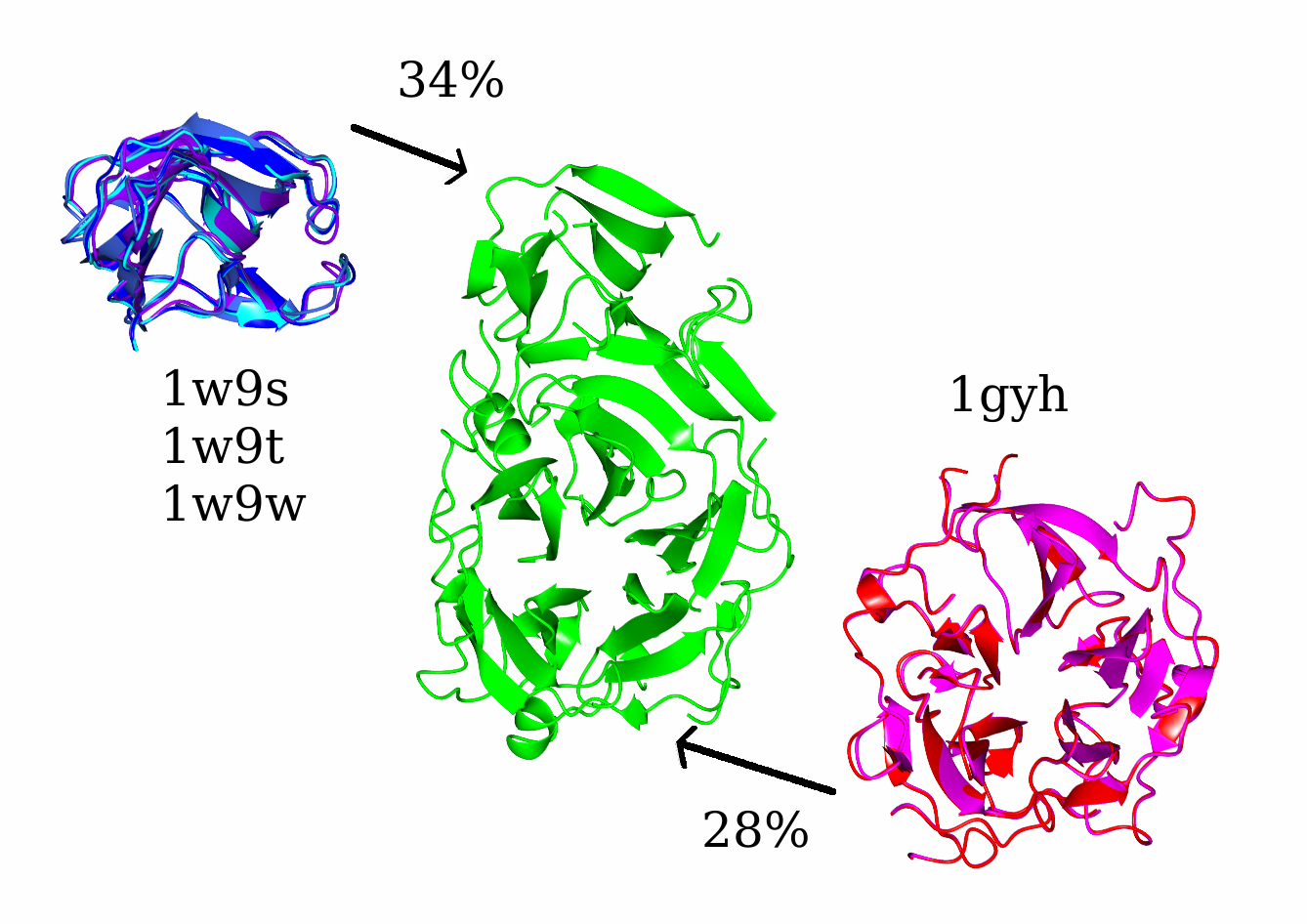 [Using MrBUMP to solve arabinofuranosidase]