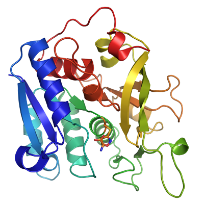DLS