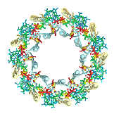 Light Harvesting Complex, G. McDermott et al, [1995]
Nature 374, 517-521.
