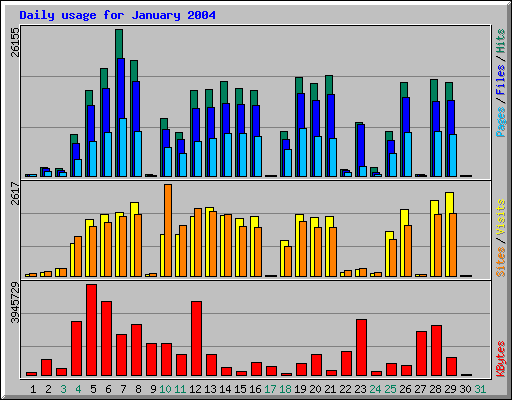 Daily usage for January 2004