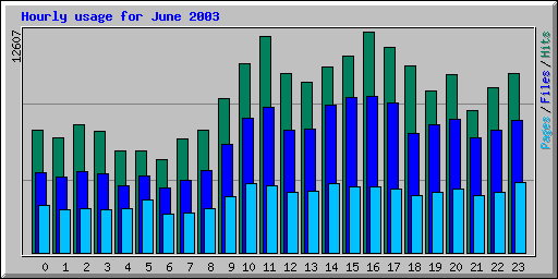 Hourly usage for June 2003