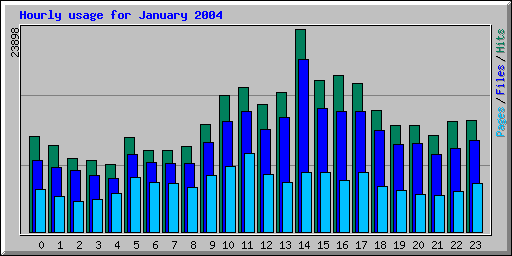 Hourly usage for January 2004