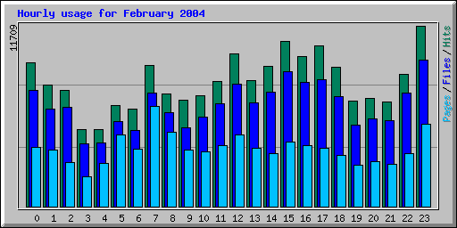 Hourly usage for February 2004