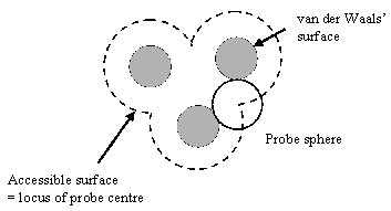 Figure 1: solvent accessible surface