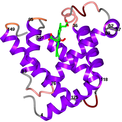 secondary structure