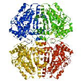 Tryptophanase from Proteus vulgaris, M. N. Isupov et
al, [1998] Journal of Mol. Biol. 276, 603-623.