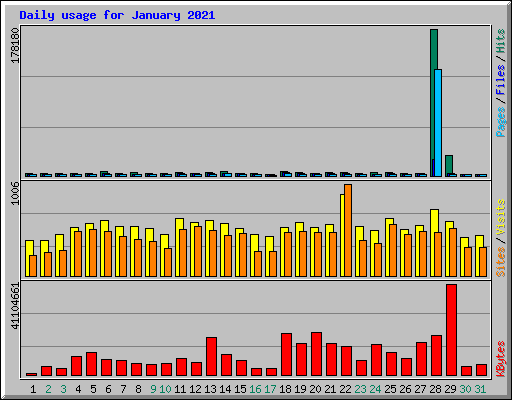 Daily usage for January 2021