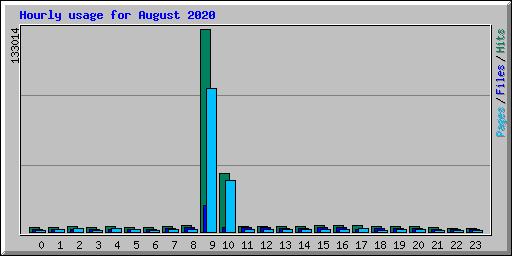 Hourly usage for August 2020