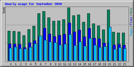 Hourly usage for September 2020
