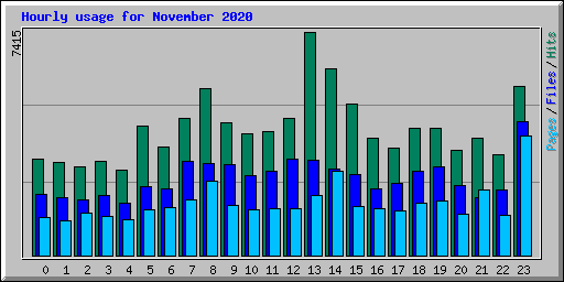 Hourly usage for November 2020