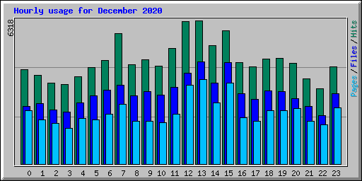 Hourly usage for December 2020