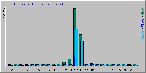 Hourly usage for January 2021